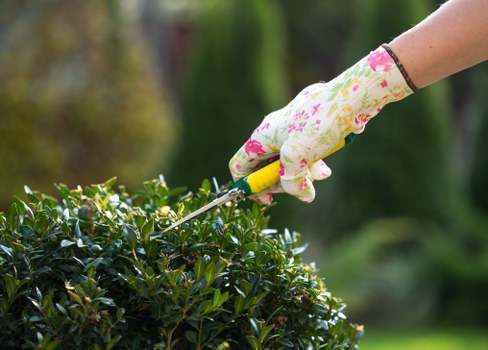 Team preparing to trim a hedge at a residential property in New Cross