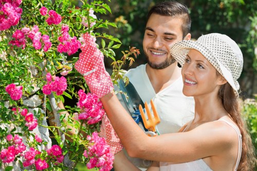 New Cross garden maintenance services