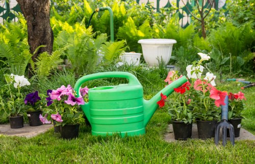 Lush green garden space in New Cross