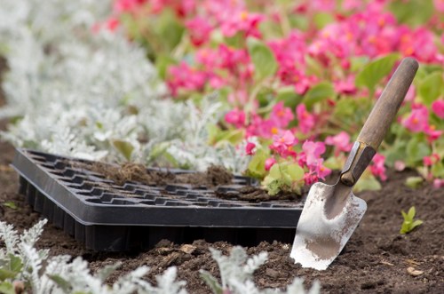 Seasonal garden care tips for New Cross