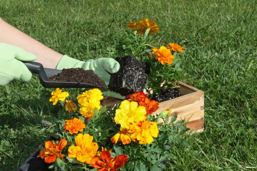 Professional gardener working in New Cross garden