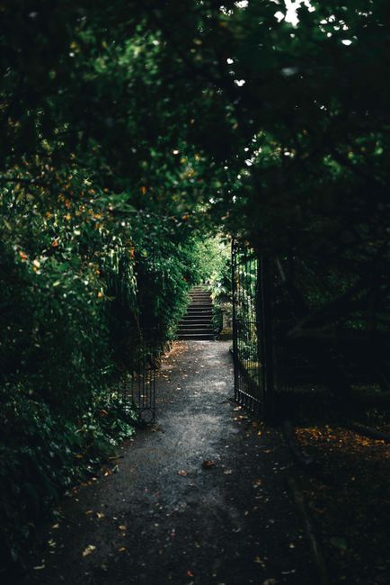 A narrow garden alleyway enclosed by dense greenery, with overhanging tree branches and leafy shrubs creating a canopy overhead. The pathway is composed of compacted dirt and small gravel, with scatte